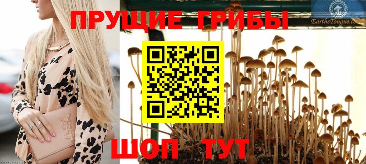 Псилоцибиновые грибы GOLDEN TEACHER Барабинск