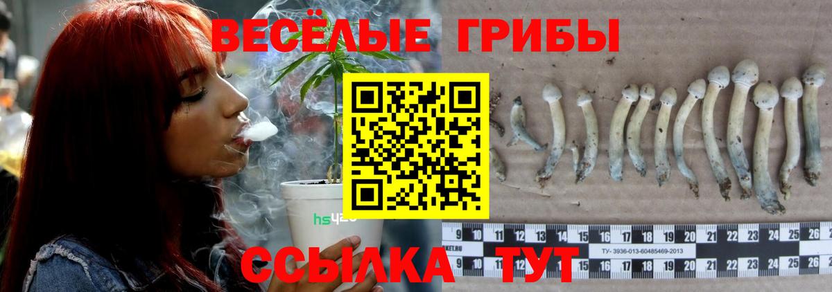 Псилоцибиновые грибы Psilocybe  хочу наркоту  Барабинск  Вход с VPN 